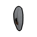 Thumbnail for version as of 19:25, 15 February 2025